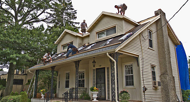 Best Roof Maintenance Services  in Bunker Hill, OR